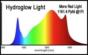 less red wave in competition lights